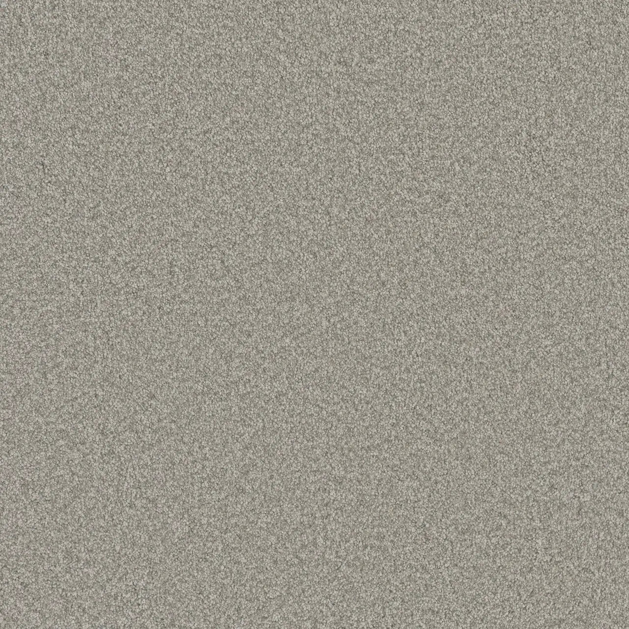 Polar Cap