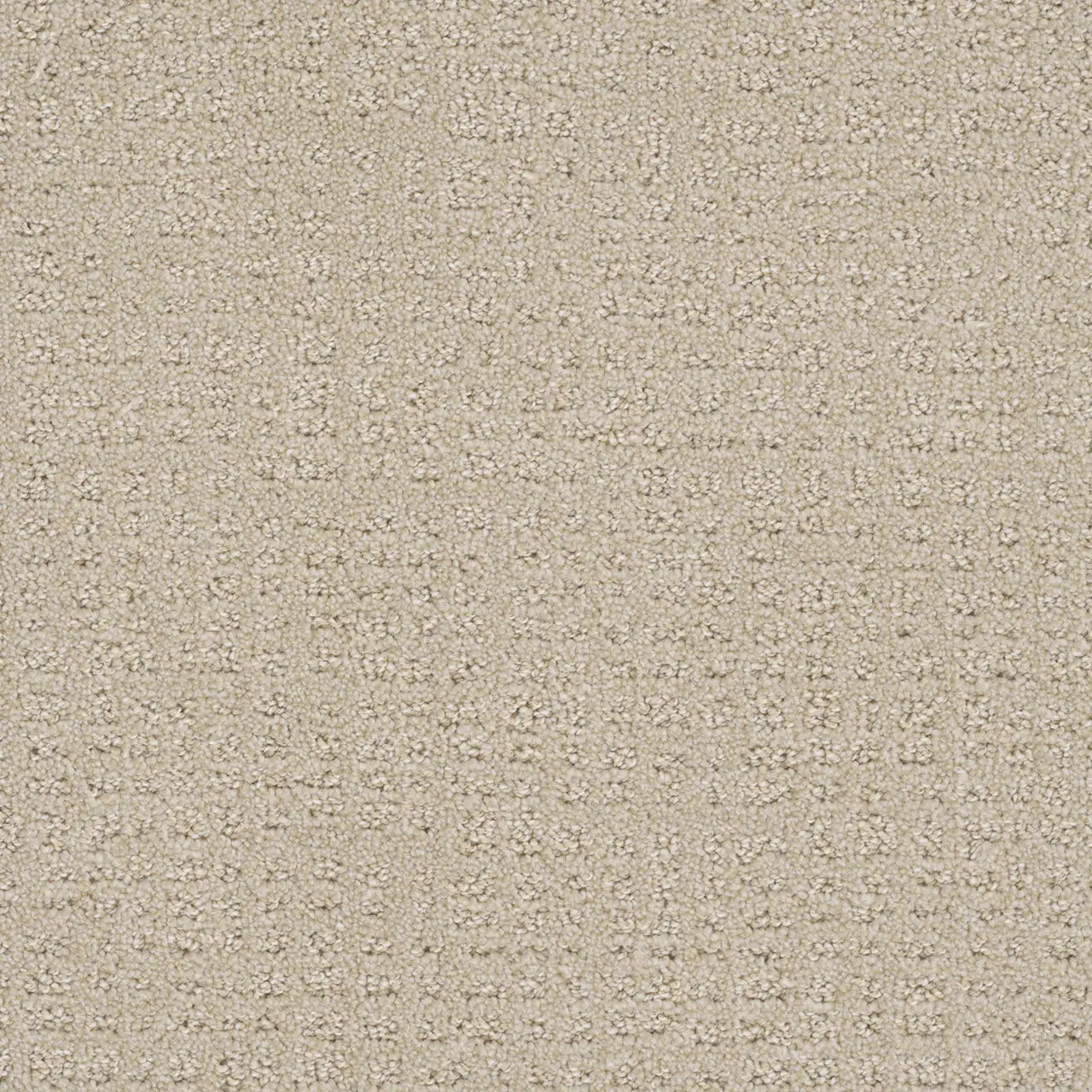 Champagne Fizz LCL Pattern Carpet by Dream Weaver sold by Calhoun's Springfield IL
