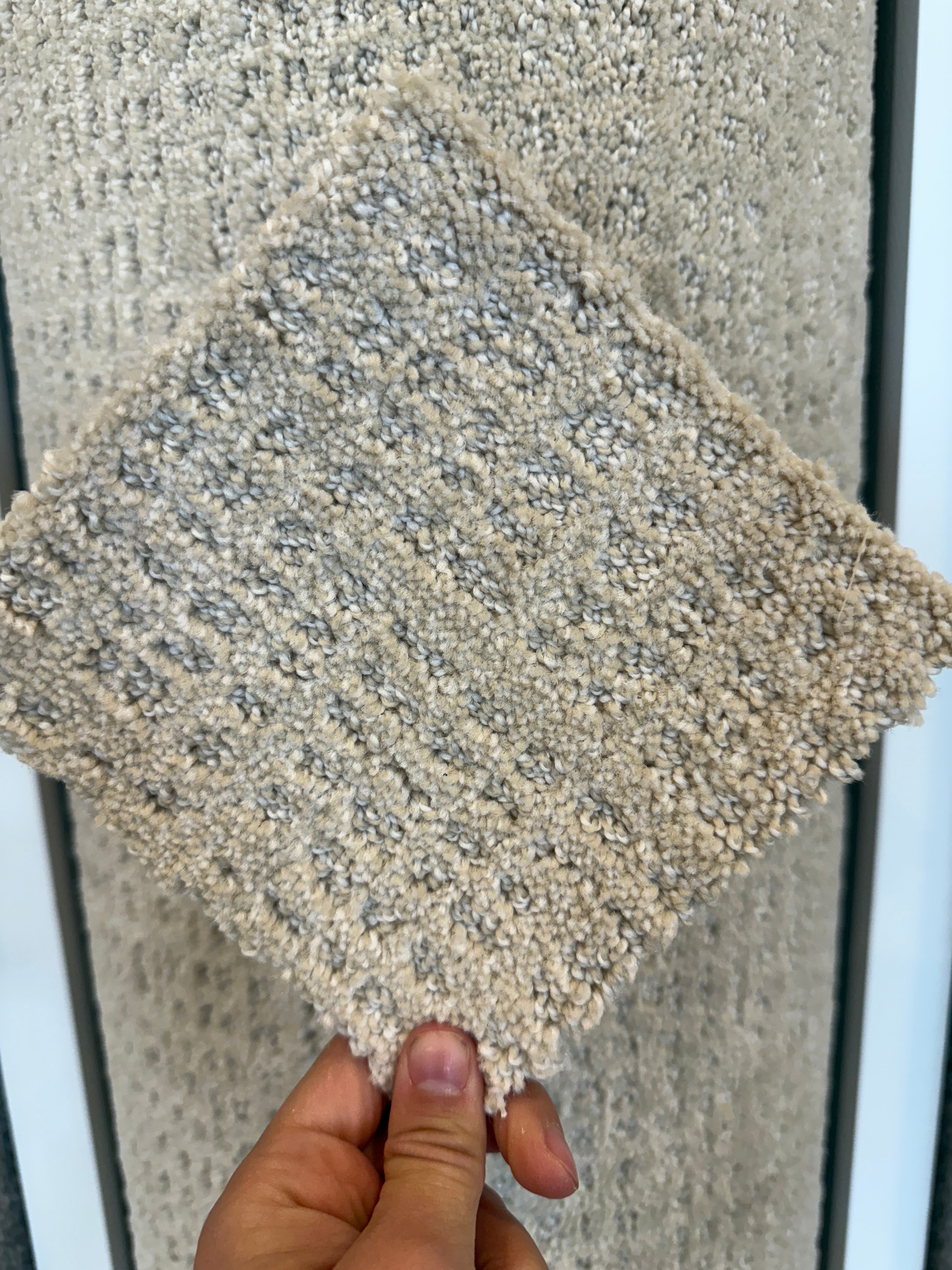 Champagne Fizz LCL Pattern Carpet by Dream Weaver sold by Calhoun's Springfield IL