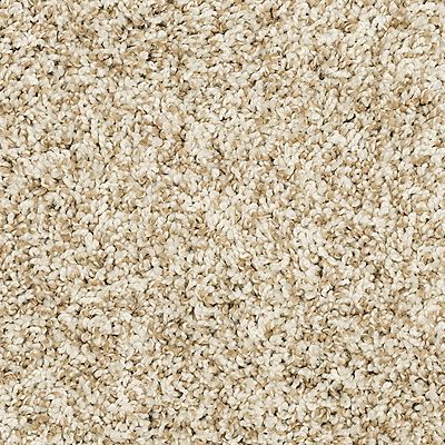 Coconut Mohawk Purrsonality Pet Premier Carpet from Calhoun's Flooring, Springfield IL