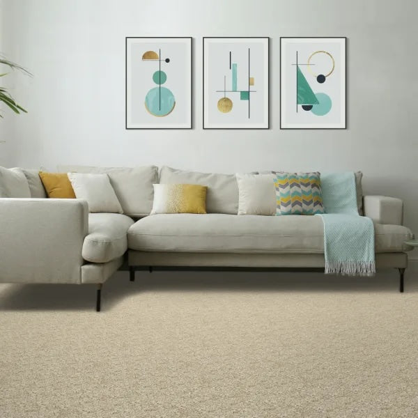 Coconut Mohawk Purrsonality Pet Premier Carpet from Calhoun's Flooring, Springfield IL Room