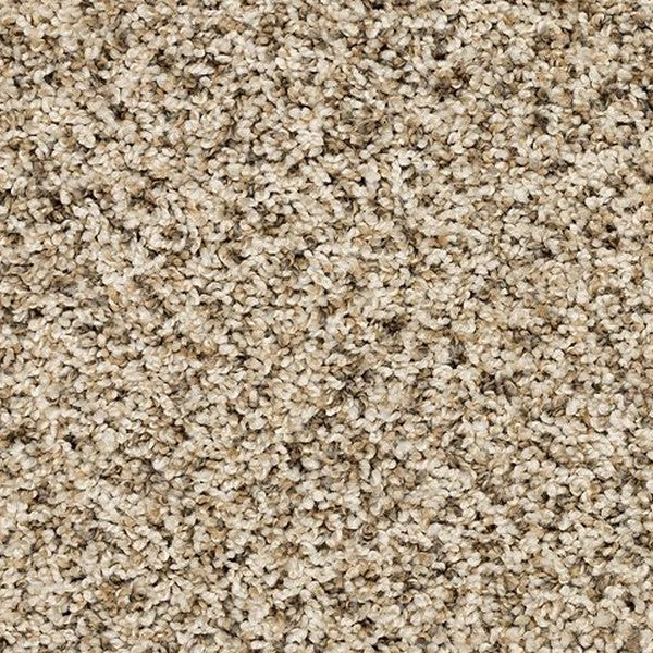 Frosty Spice Mohawk Purrsonality Pet Premier Carpet from Calhoun's Flooring, Springfield IL
