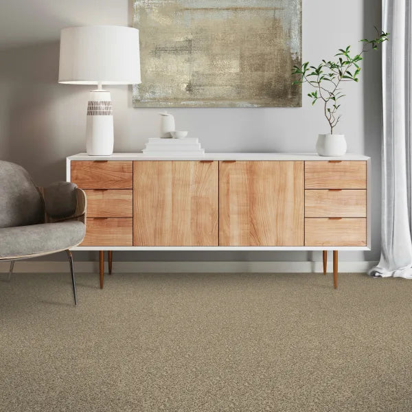 Frosty Spice Mohawk Purrsonality Pet Premier Carpet from Calhoun's Flooring, Springfield IL Room