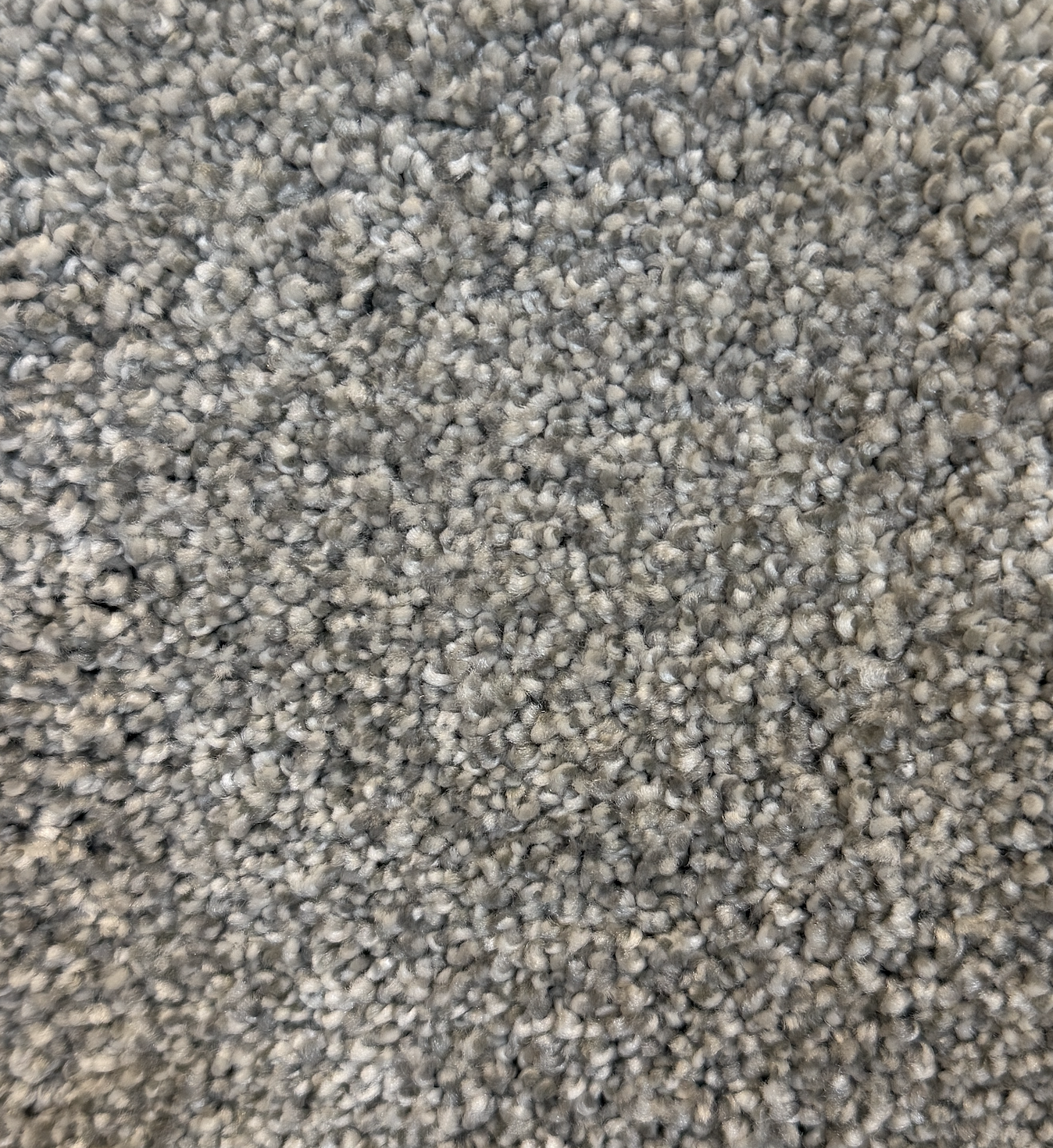Galactic, Silver Lining Carpet by Dreamweaver, Calhoun's Flooring Springfield, IL