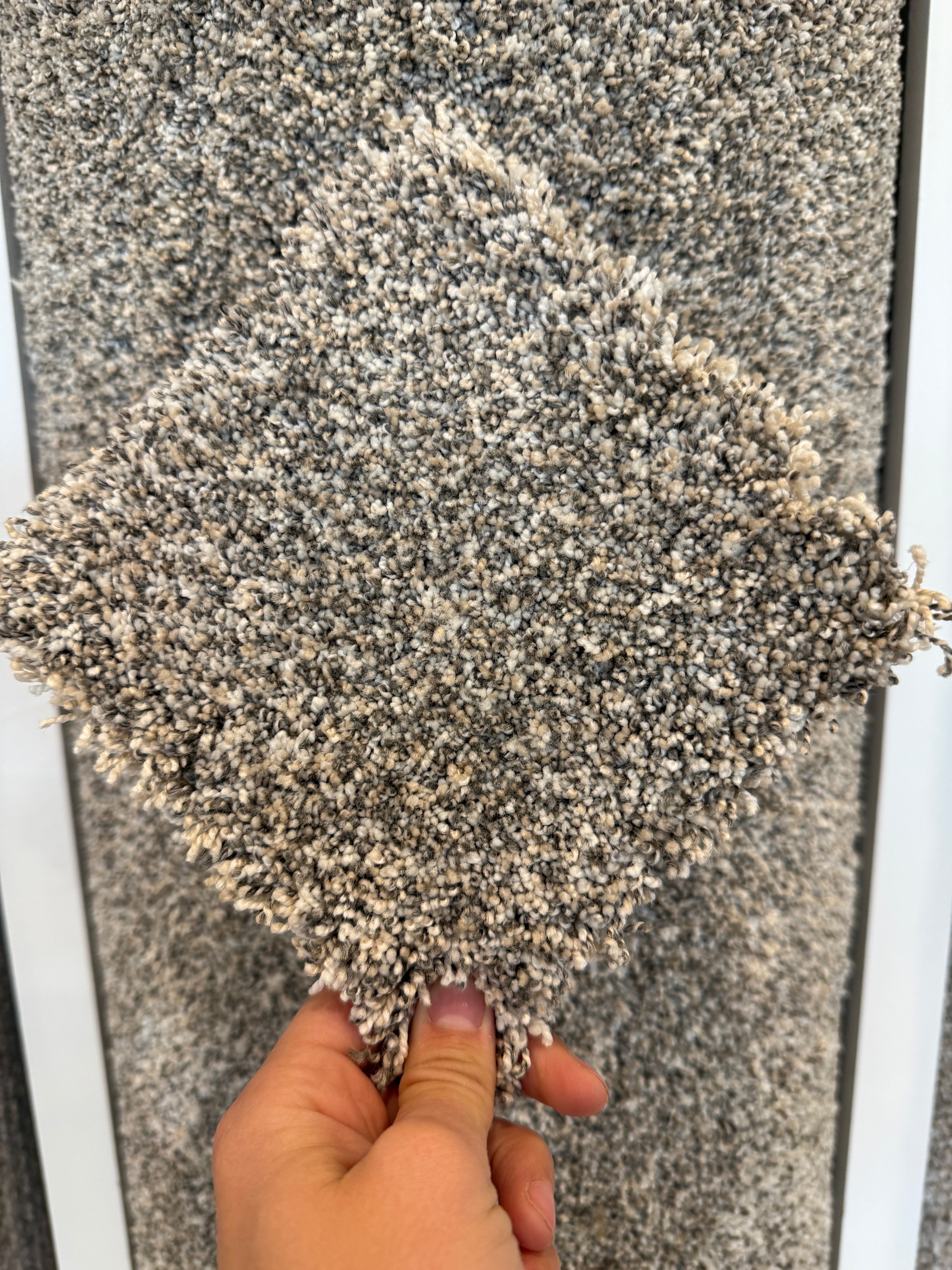 Grand Night by Dream Weaver Pure Color Carpet at Calhoun's Flooring, Springfield, IL