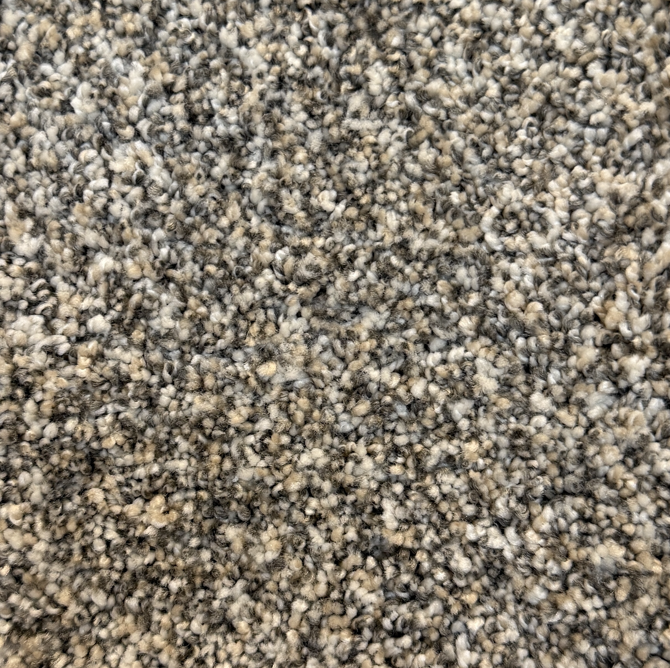 Grand Night by Dream Weaver Pure Color Carpet at Calhoun's Flooring, Springfield, IL