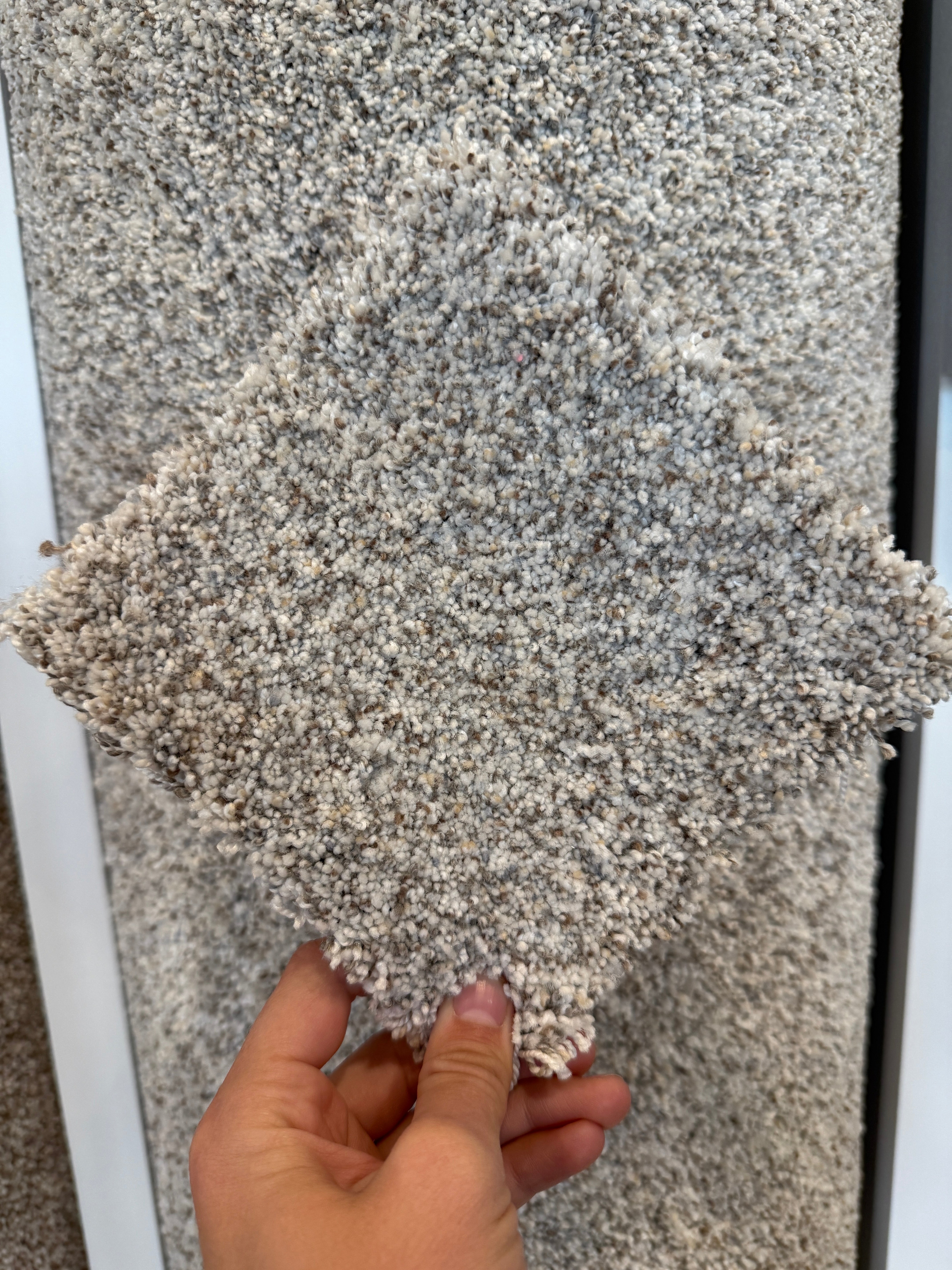 Luna by Dream Weaver Out of This World II Carpet at Calhoun's Flooring, Springfield, IL