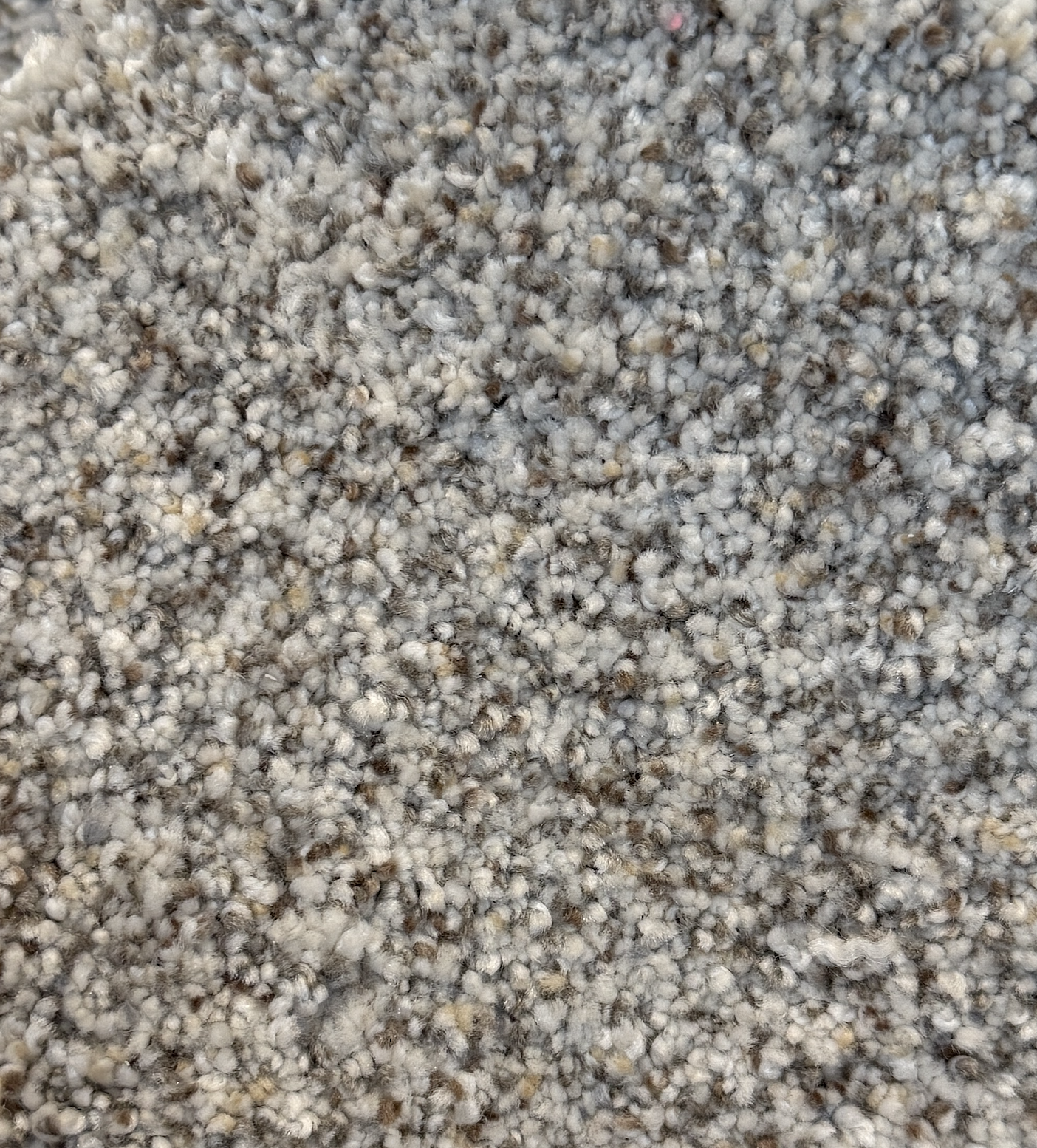 Luna by Dream Weaver Out of This World II Carpet at Calhoun's Flooring, Springfield, IL