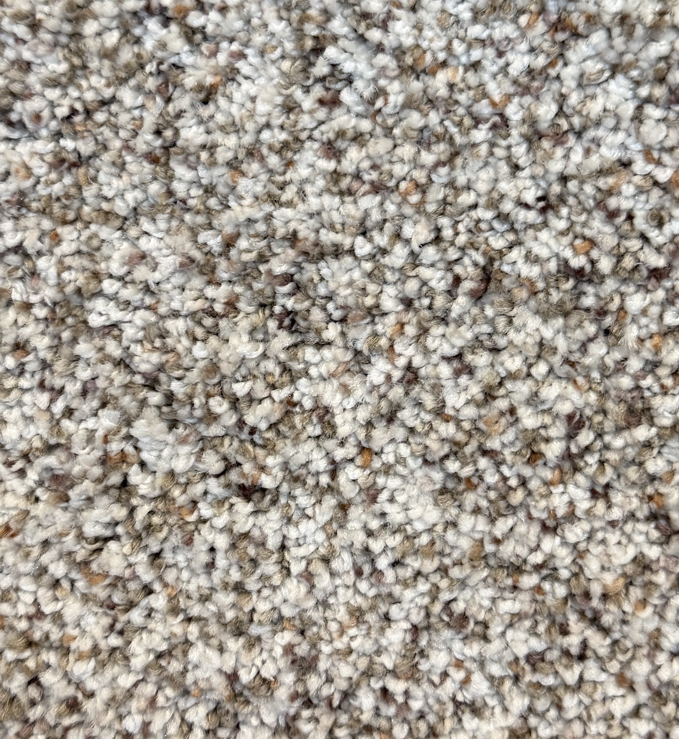 Nebula Carpet by Dream Weaver sold at Calhoun's Flooring, Springfield, IL
