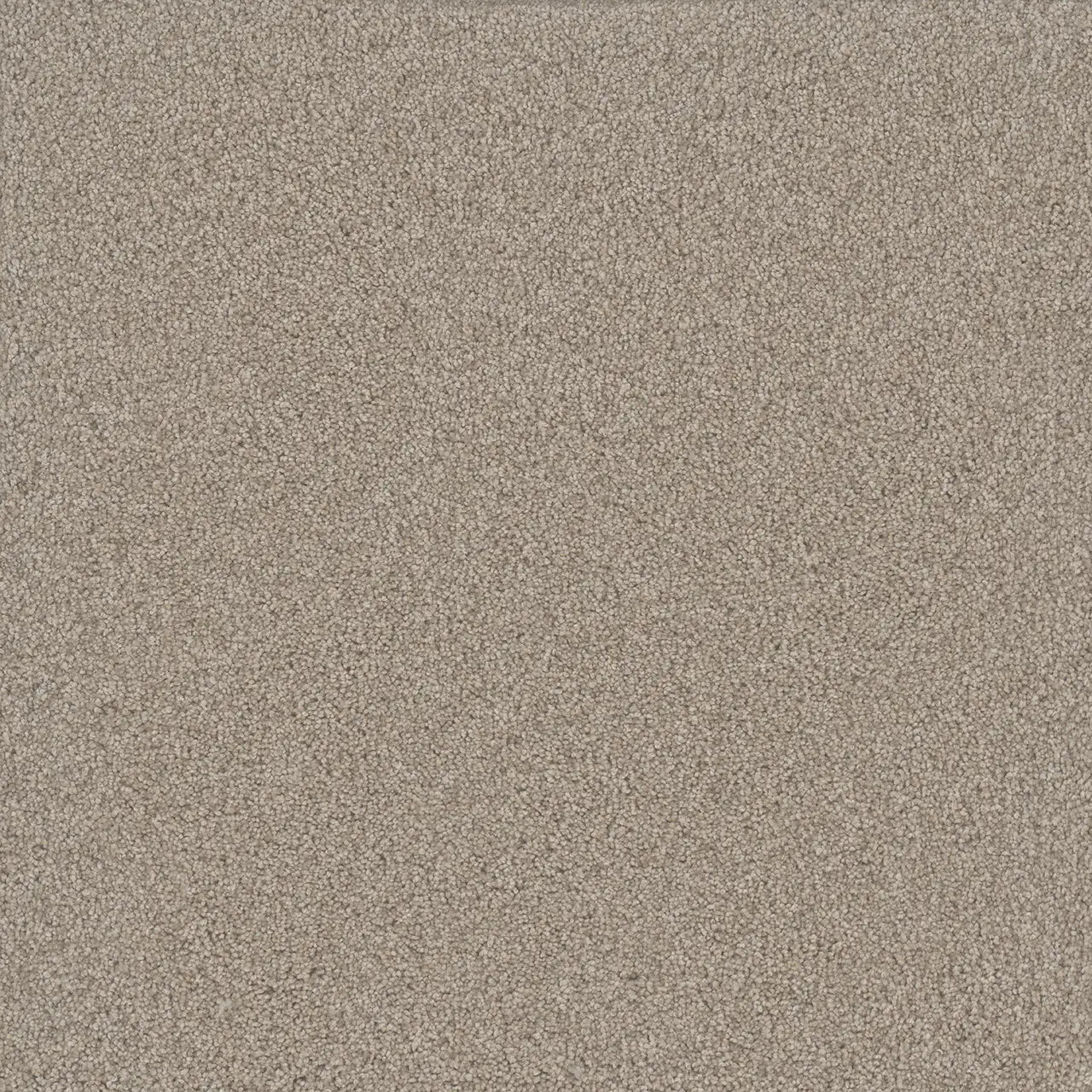 Nimbus, Silver Lining Carpet by Dreamweaver, Calhoun's Flooring Springfield, IL
