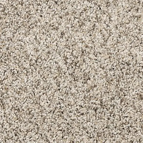 Oyster Mohawk Purrsonality Pet Premier Carpet from Calhoun's Flooring, Springfield IL