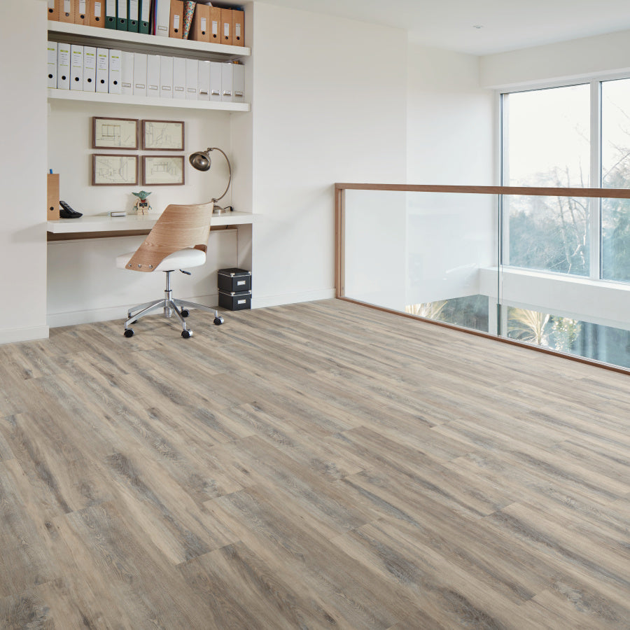 Sicilia in Room at Calhoun's, Springfield, IL