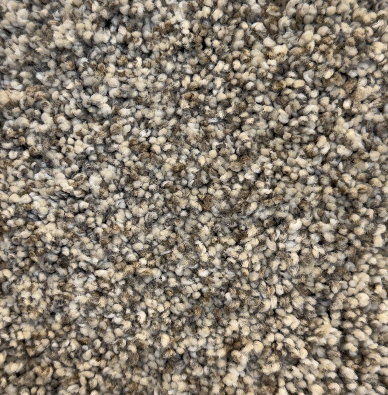 Sunset by Dream Weaver carpet sold by Calhoun's Flooring, Springfield, IL Room