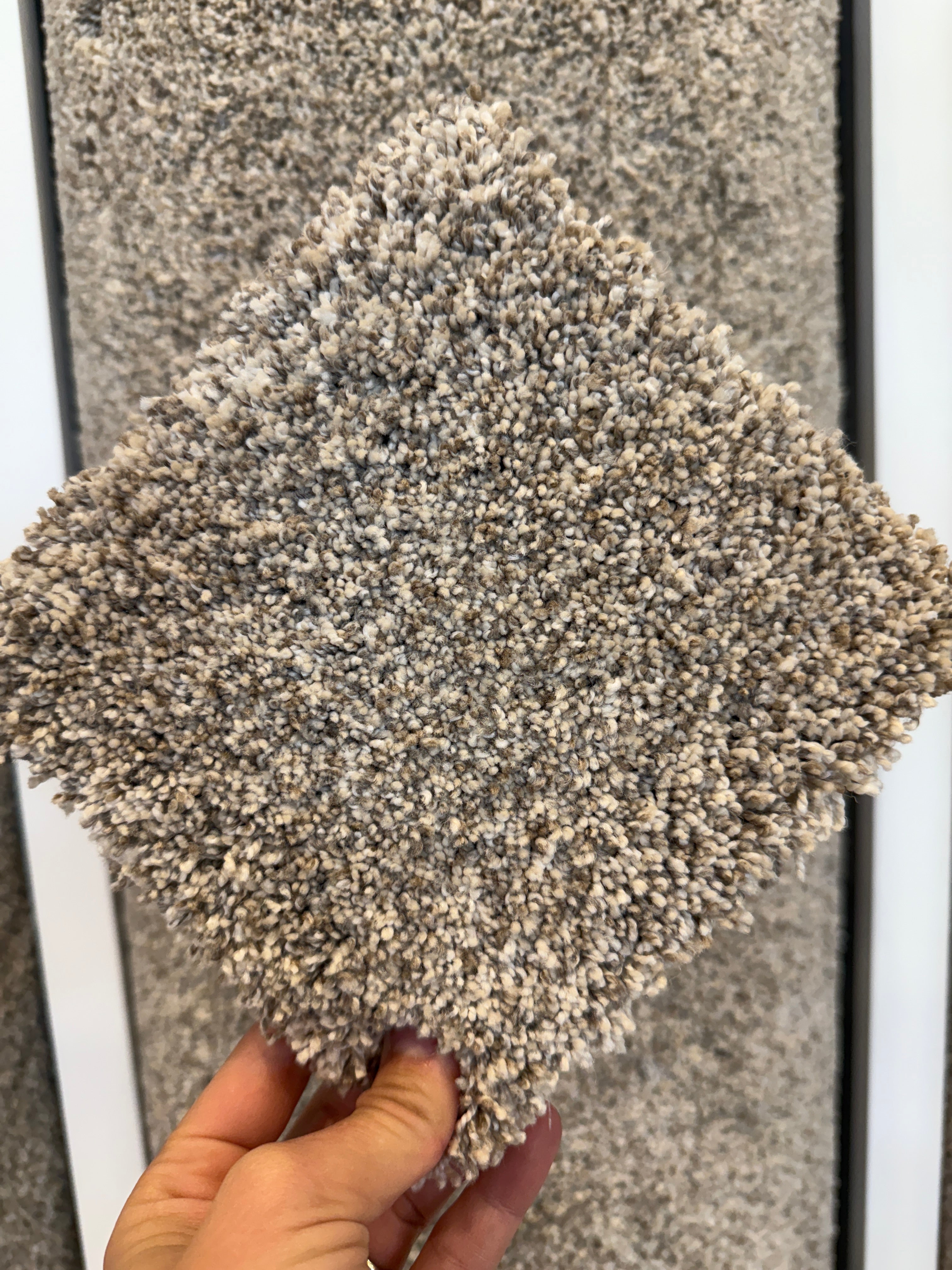 Sunset by Dream Weaver carpet sold by Calhoun's Flooring, Springfield, IL