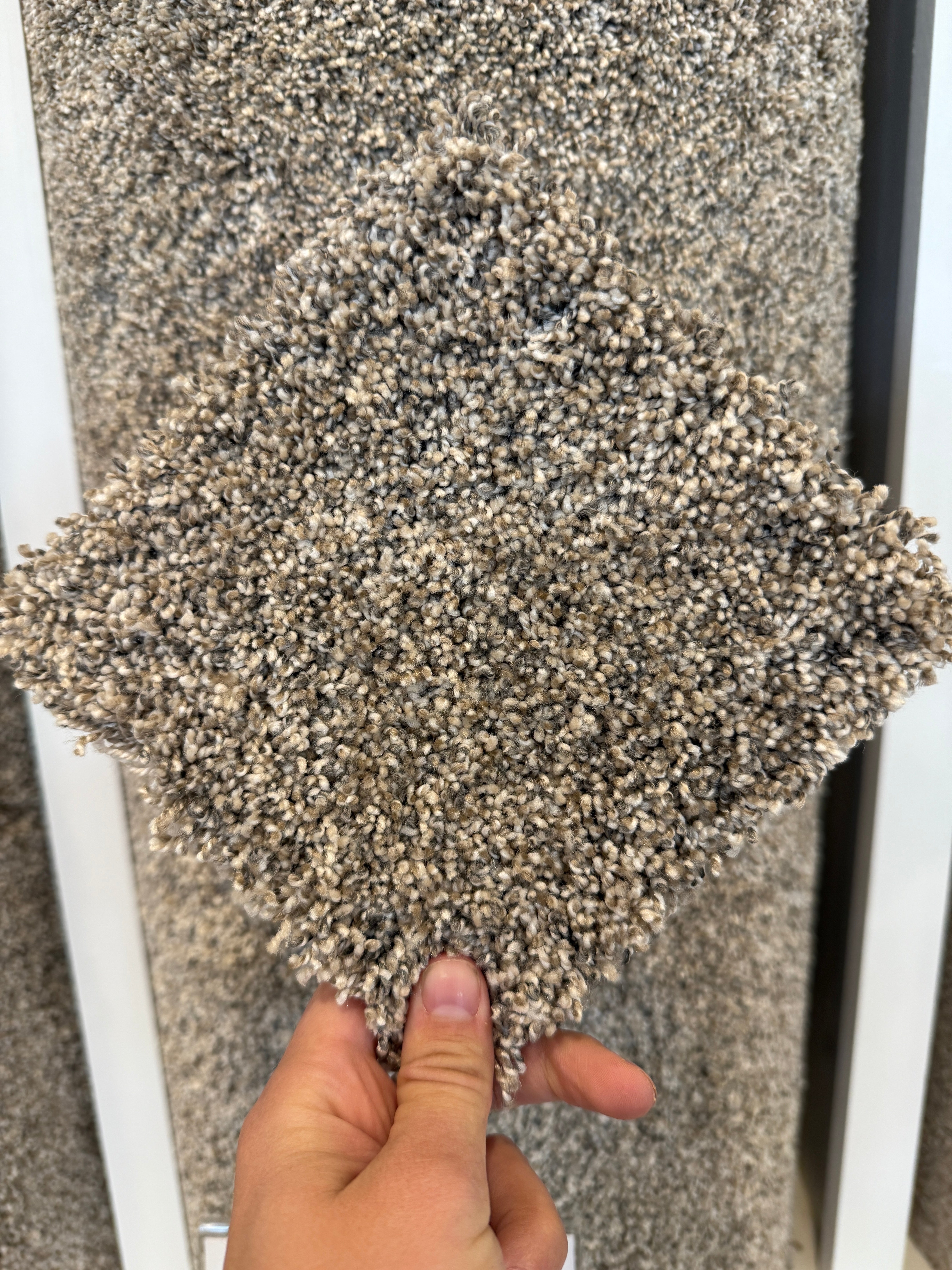 Warm Spice by Dream Weaver carpet sold by Calhoun's Flooring, Springfield, IL