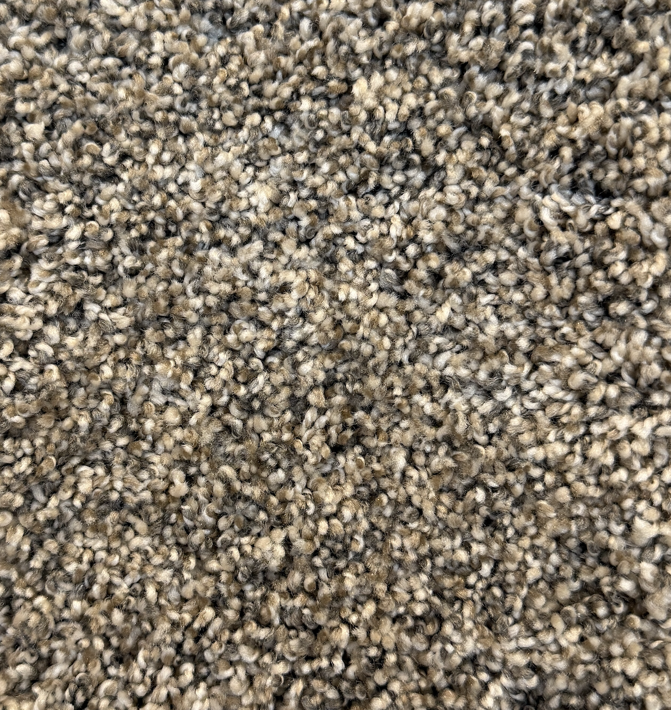 Warm Spice by Dream Weaver carpet sold by Calhoun's Flooring, Springfield, IL