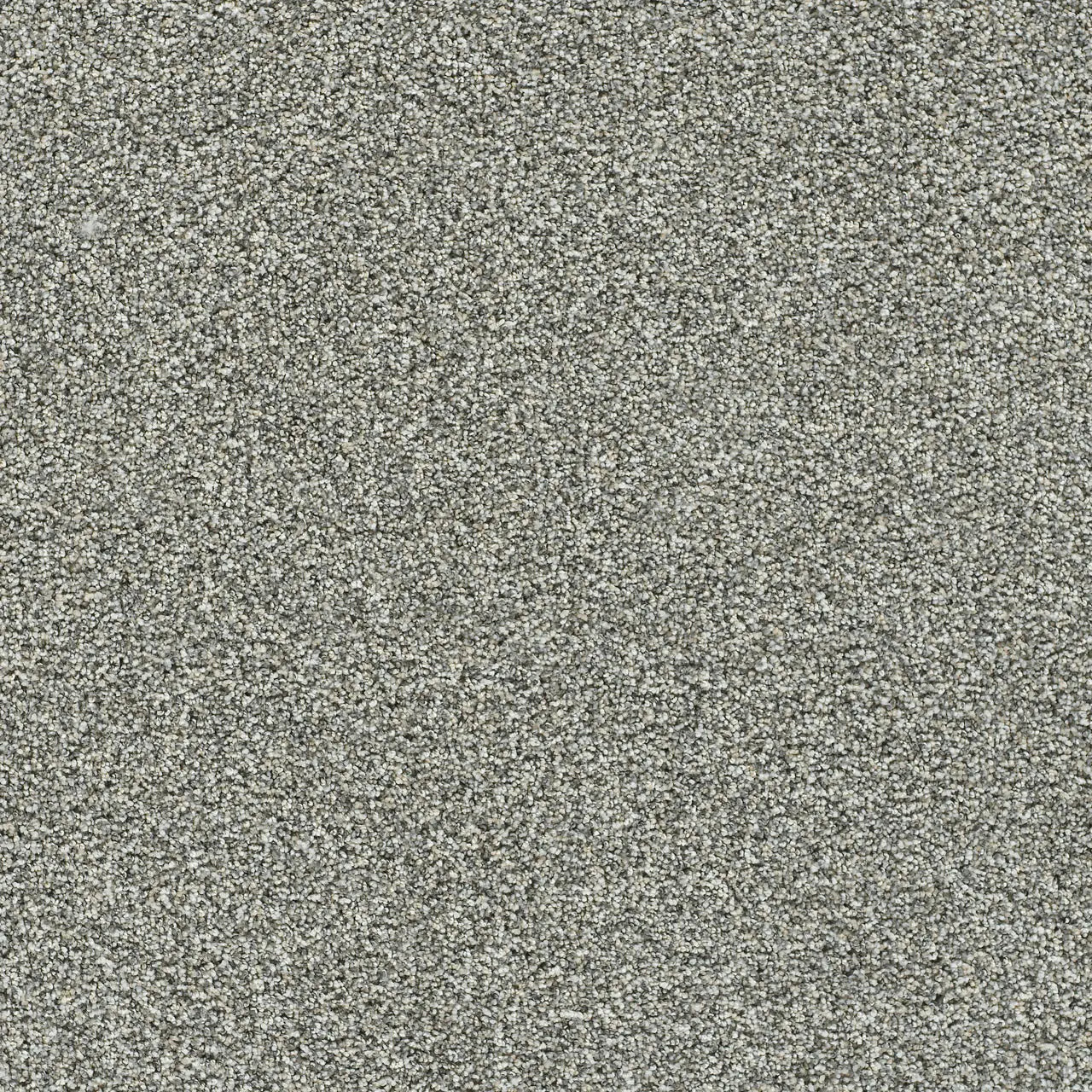Grand Night by Dream Weaver Pure Color Carpet at Calhoun's Flooring, Springfield, IL
