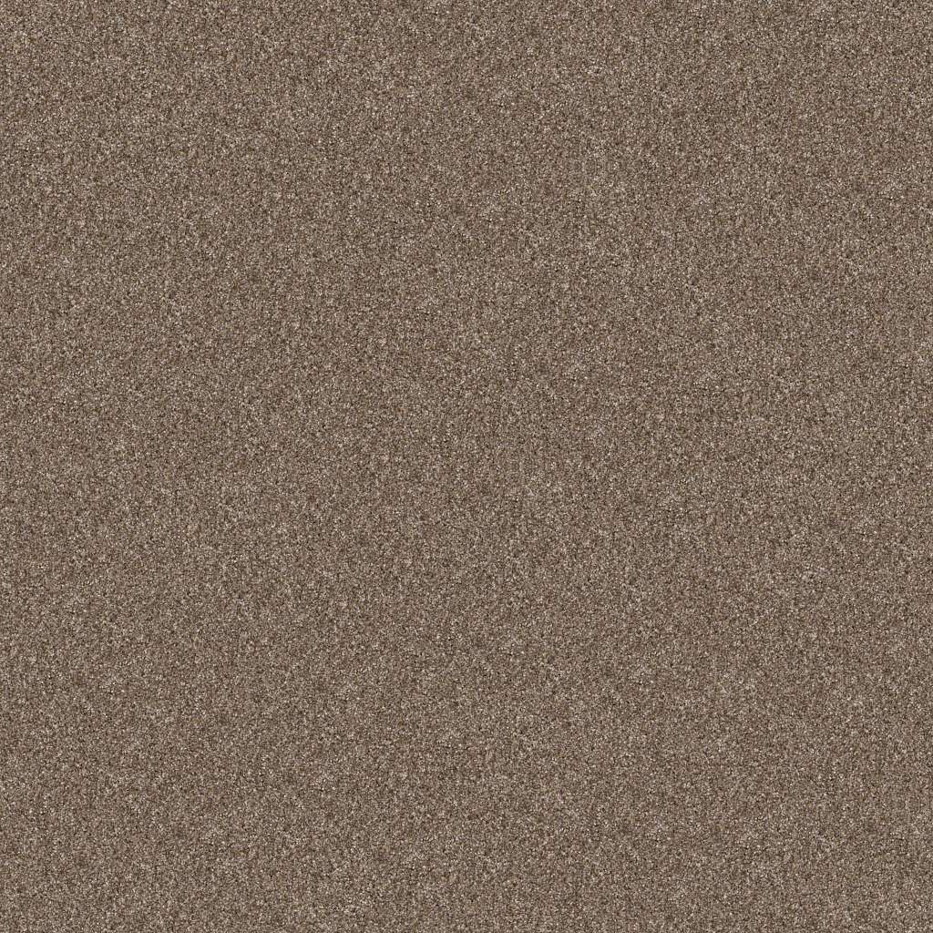 Honeycomb Shaw Pet Perfect Plus Yes You Can I Carpet from Calhoun's Flooring Springfield IL
