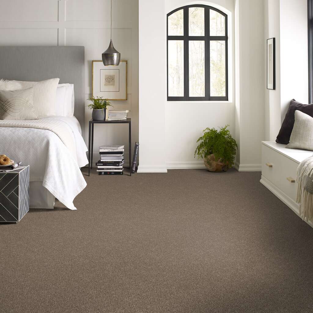 Honeycomb Shaw Pet Perfect Plus Yes You Can I Carpet from Calhoun's Flooring Springfield IL Bedroom