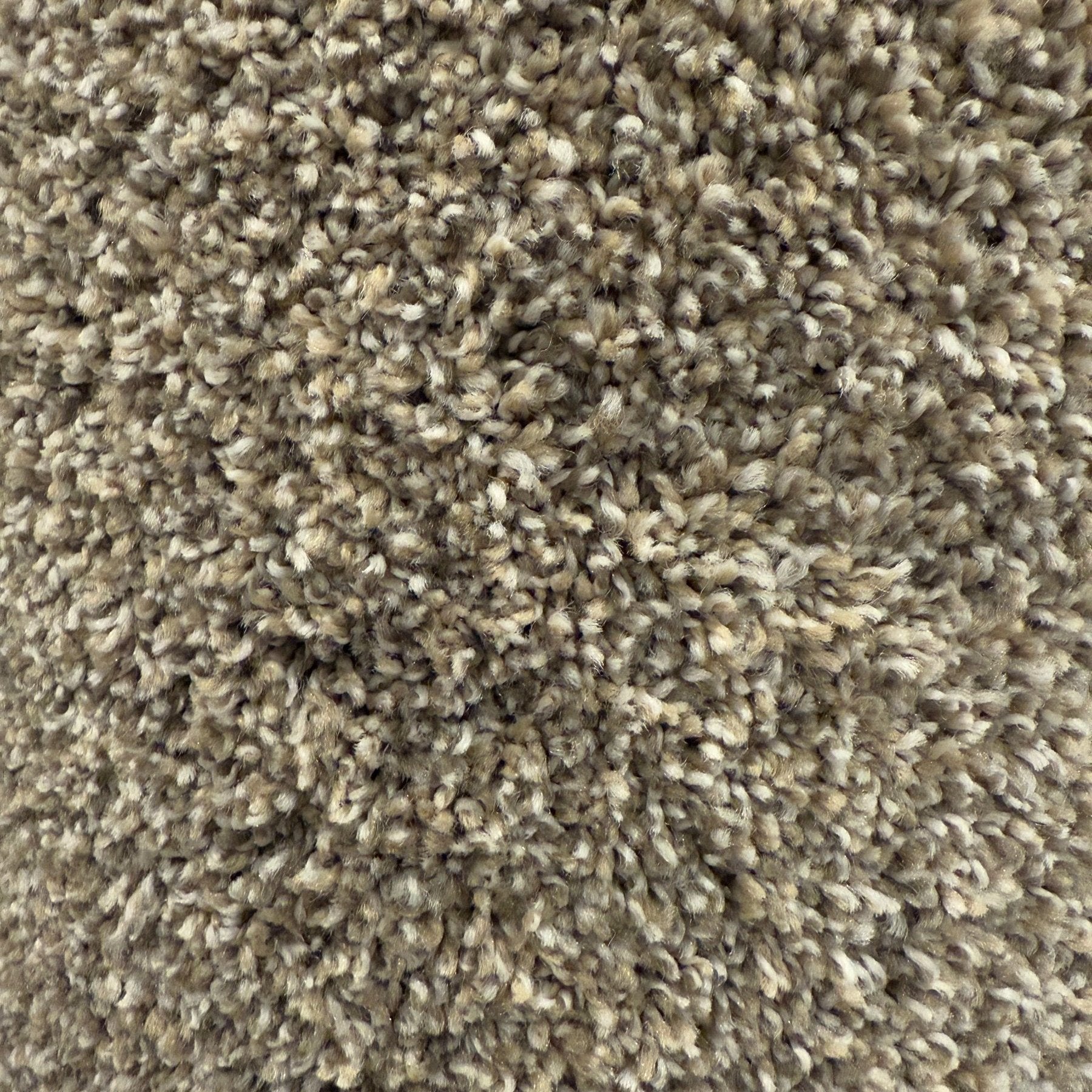 Flax Seed Carpet by Mohawk sold at Calhoun's Flooring Springfield IL