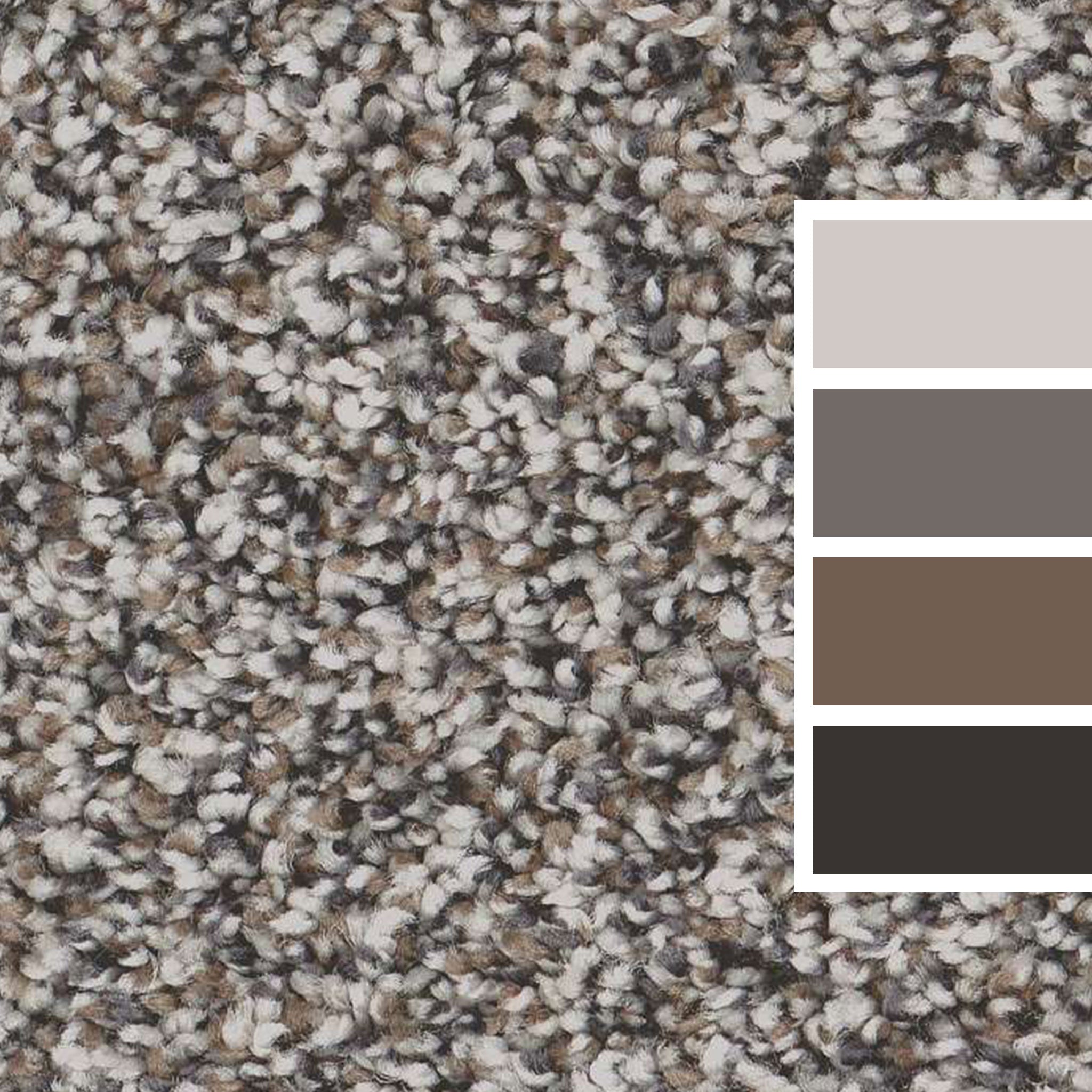 Fog Carpet by Shaw Pet Perfect Plus Renewed Energy I Calhoun's Flooring Color Swatch