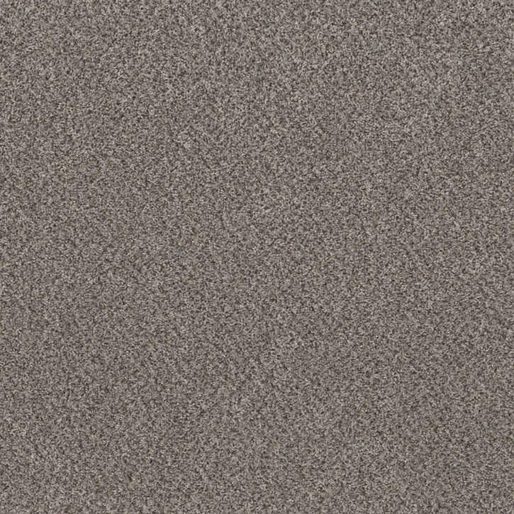 Metro Gray Rental Carpet Shaw Basic Mix Flooring from Calhoun's Springfield IL