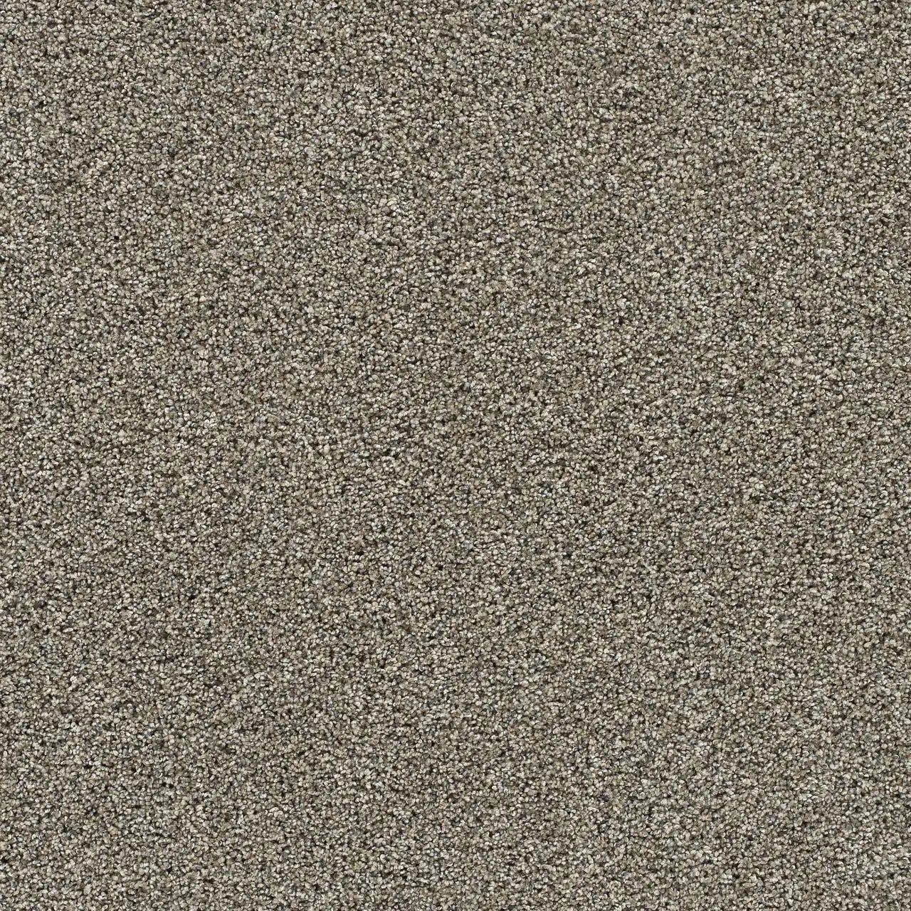 Warm Spice by Dream Weaver carpet sold by Calhoun's Flooring, Springfield, IL